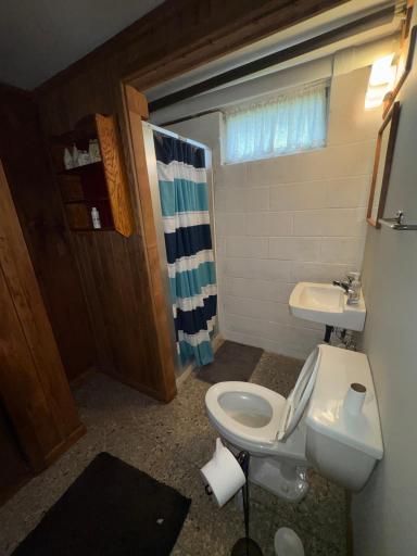 37373 Hanson Road, Bigfork, MN 56628