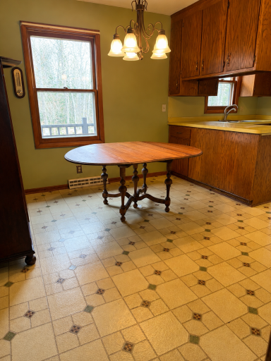 37373 Hanson Road, Bigfork, MN 56628