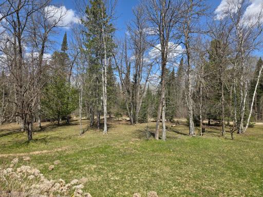 37373 Hanson Road, Bigfork, MN 56628