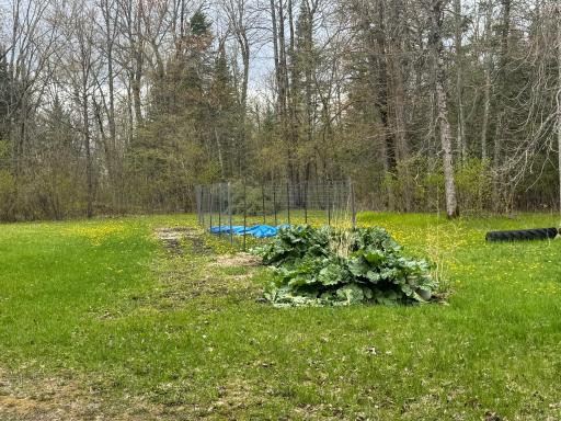 37373 Hanson Road, Bigfork, MN 56628
