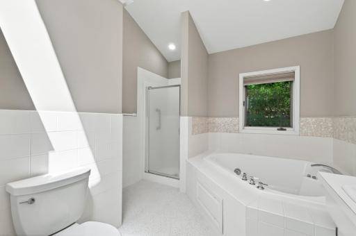 Primary Bedroom, Private Bathroom with Skylight sunshine