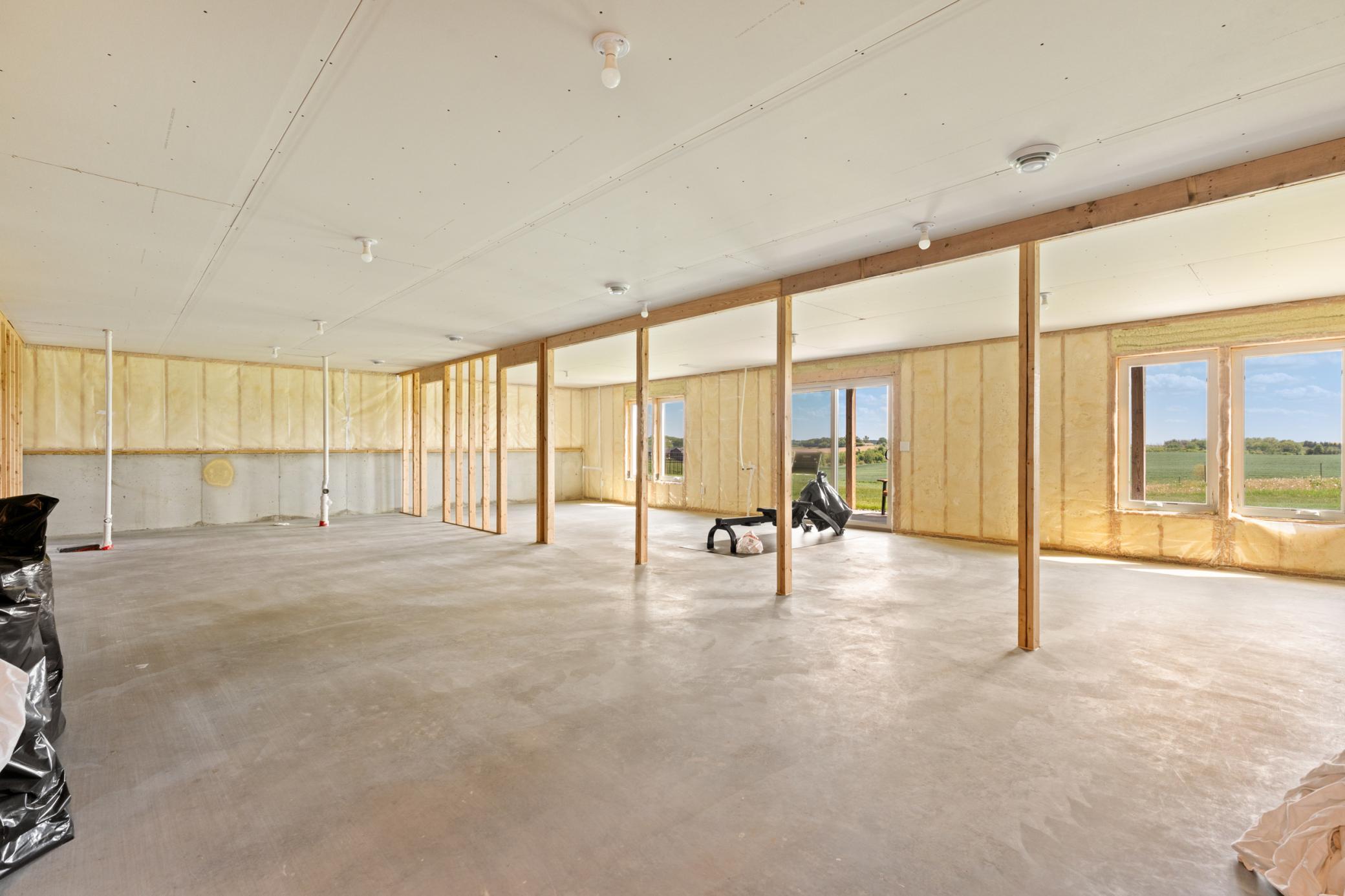 Unfinished Basement