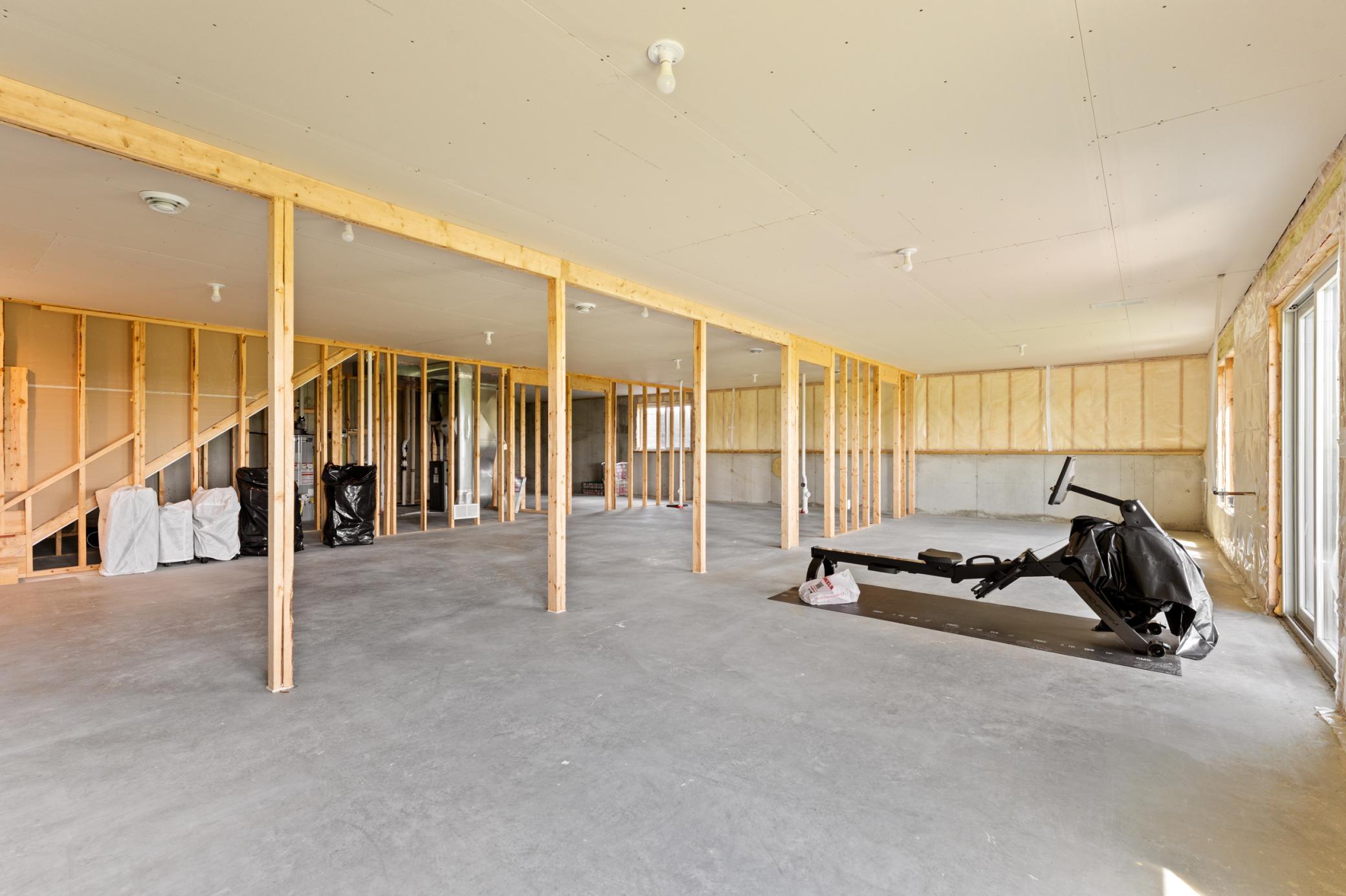 Unfinished Basement