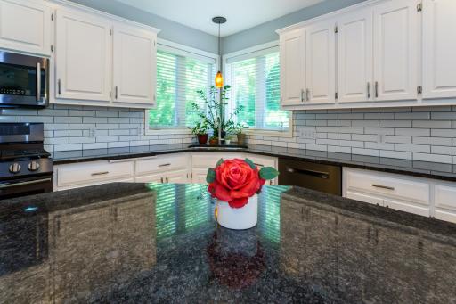 4304 Gadwall Court, Saint Paul, MN 55122