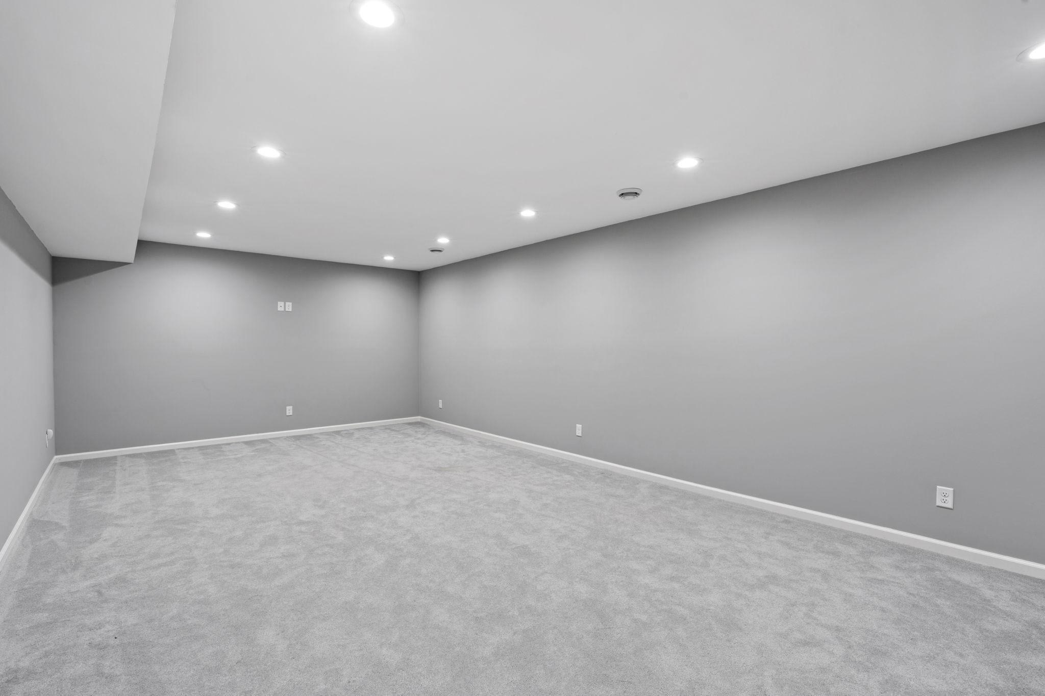 Spacious Basement