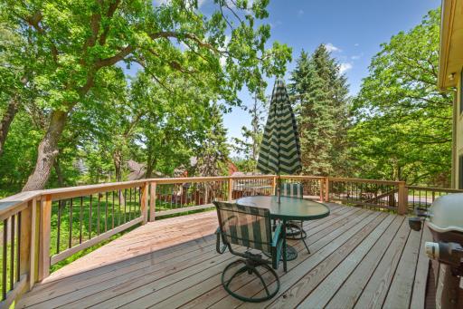 13575 Harwell Path, Saint Paul, MN 55124