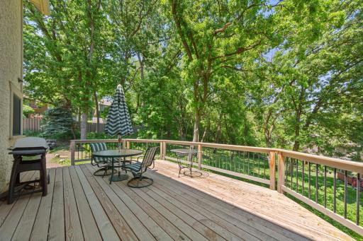 13575 Harwell Path, Saint Paul, MN 55124
