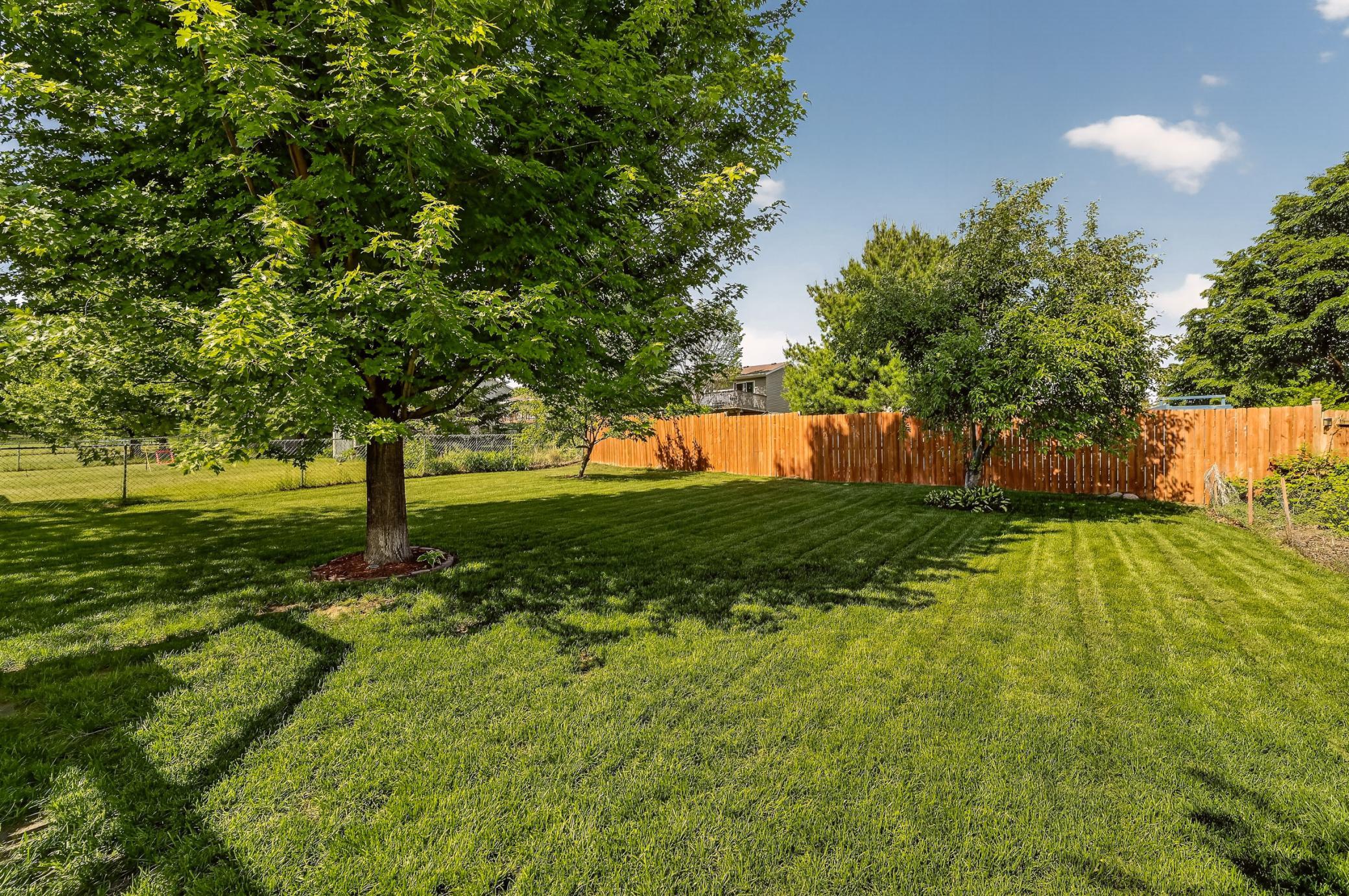 Fully Fenced Backyard