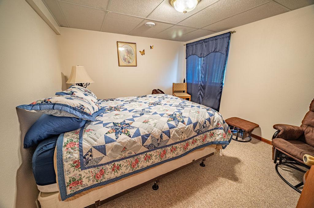 Lower Level Bedroom #3