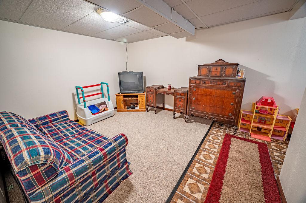 Lower Level Family Room