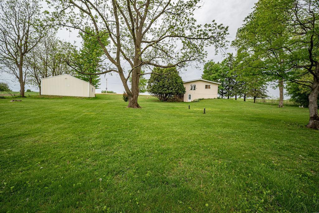 Spacious Back yard