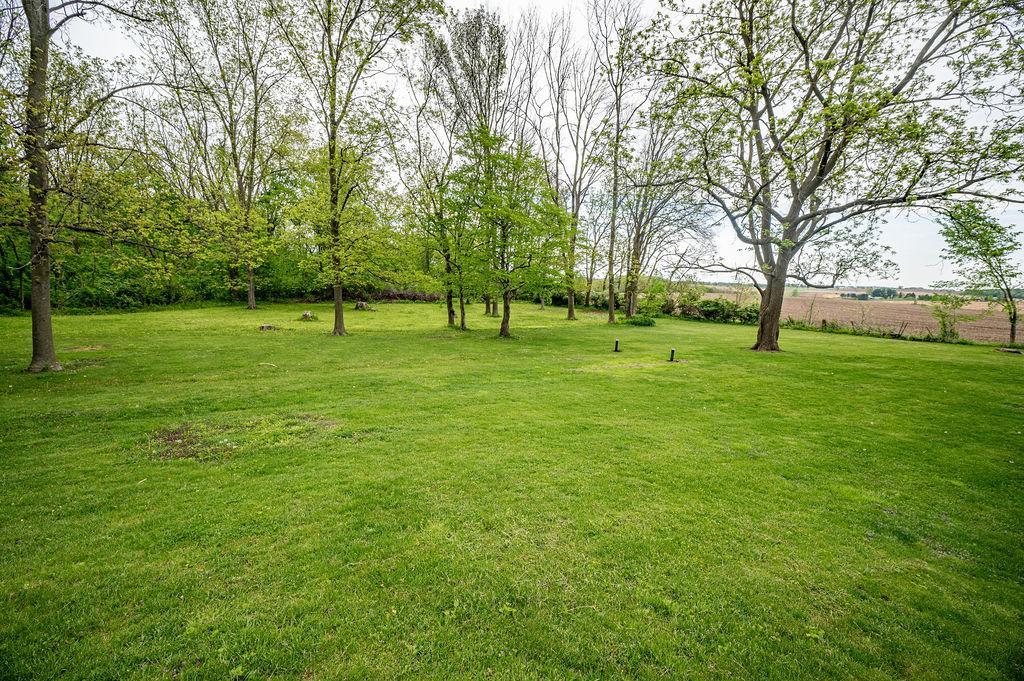 Yard w/mature trees