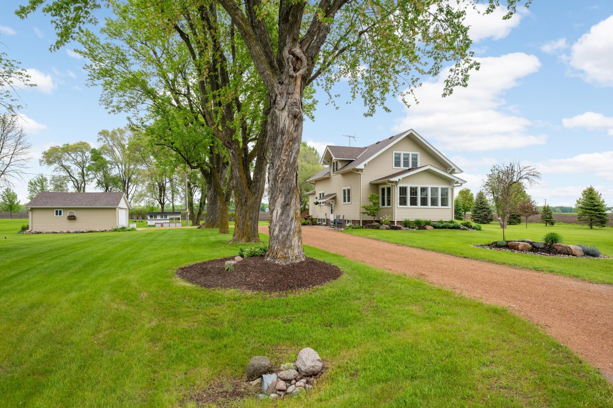 Driveway up to the house.