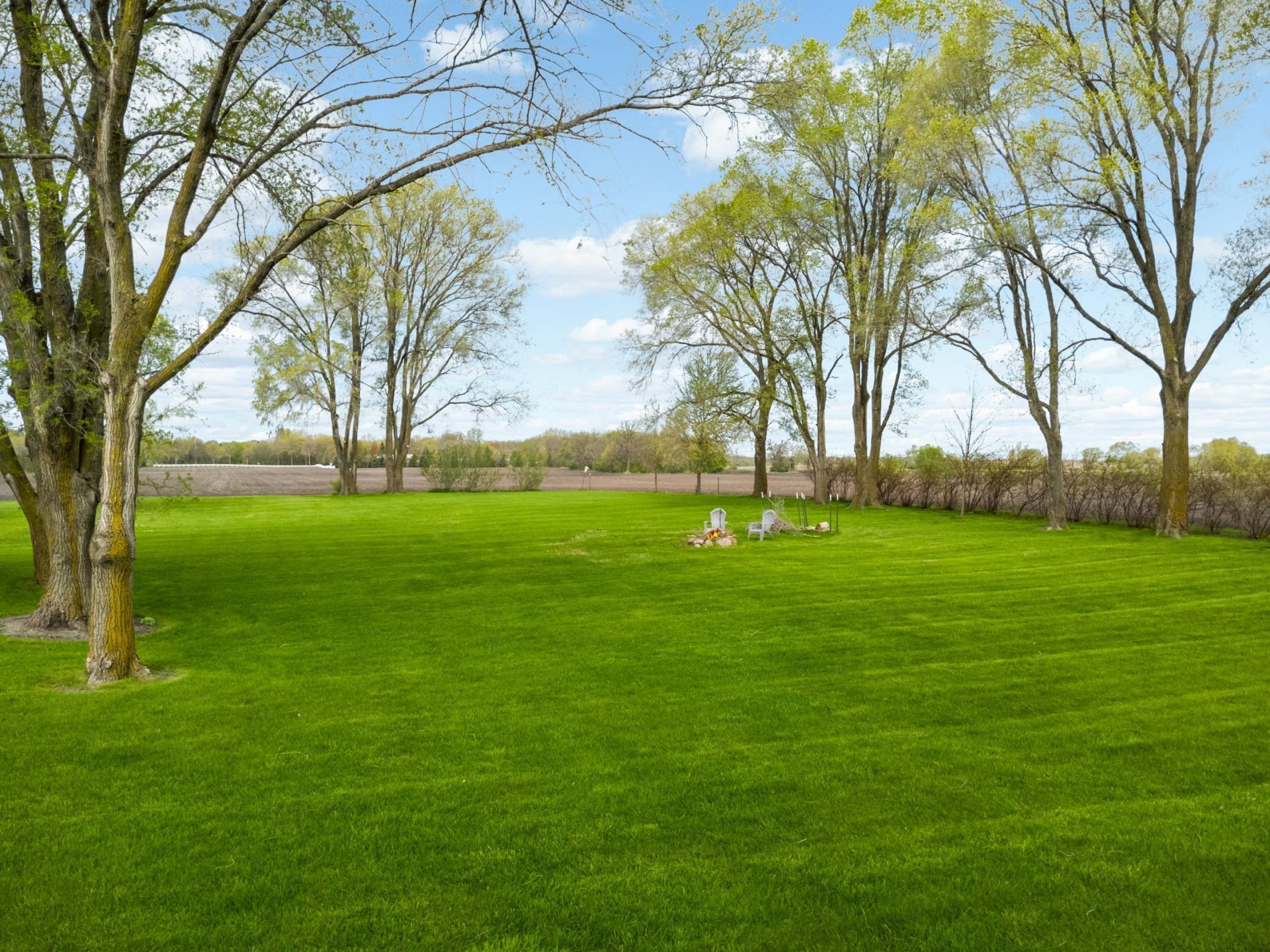 Lush, level backyard offering beautiful trees and plenty of sunshine.