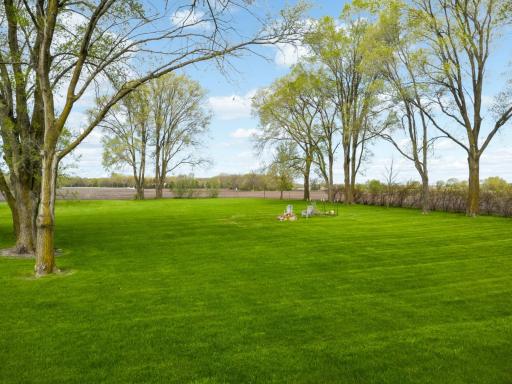 Lush, level backyard offering beautiful trees and plenty of sunshine.