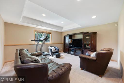 Lower Level Family Room