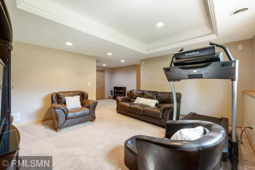 Lower Level Family Room