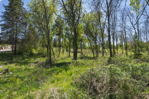 14659 30th Street N, Stillwater, MN 55082
