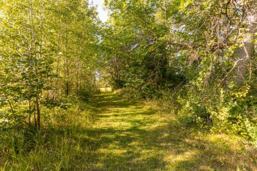 Walking Trail