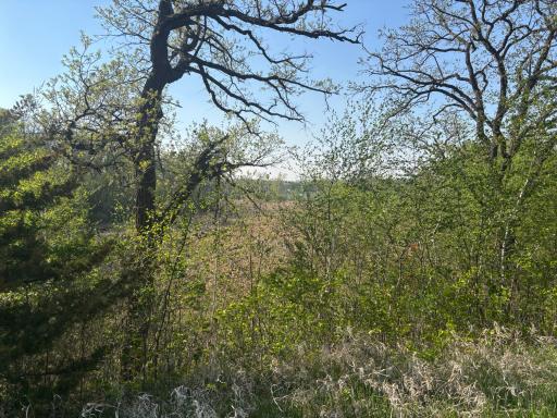 Lot View Overlooking Wetlands
