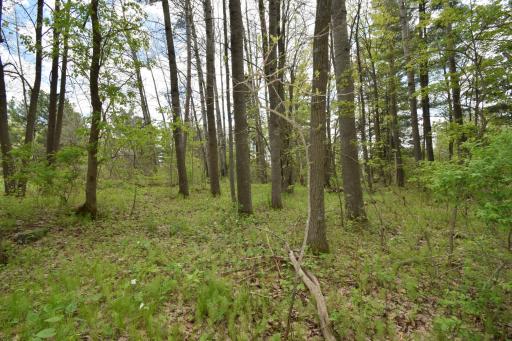 3346 65th Street, Frederic, WI 54837