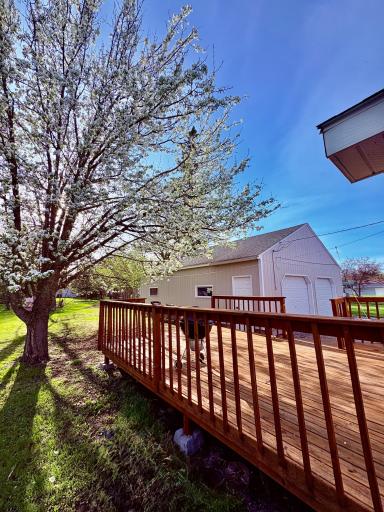 Large shaded deck
