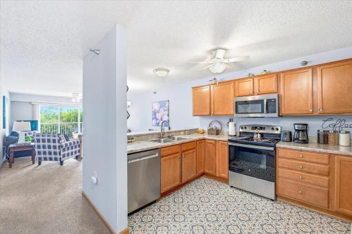 16154 Main Avenue SE, 326, Prior Lake, MN 55372