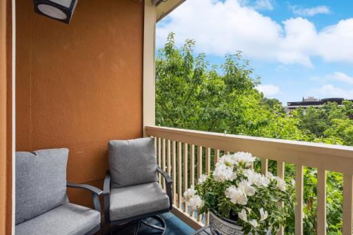 Private tree top balcony with Mpls skyline views!