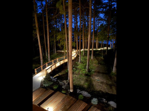 Magical evenings await—stroll along the softly lit boardwalk surrounded by peaceful woods.
