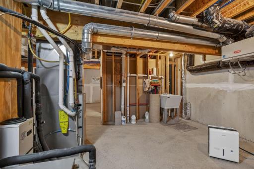 59-web-or-mls-37618 Sugar Maple Ln, Montgomery, MN_0059.jpg