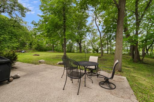 65-web-or-mls-37618 Sugar Maple Ln, Montgomery, MN_0065.jpg