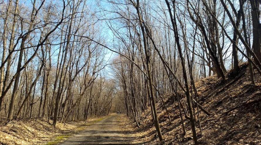 Lake Rebecca bike and walking trails