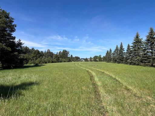 Beautiful 2.5 Acre build site with drilled well already on the property!!