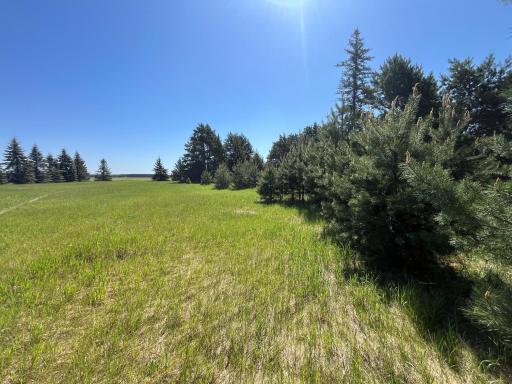 Lot 6 Block 1 40th Ave, Brainerd, MN 56401