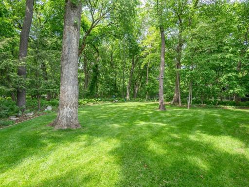 Deep, triangle shaped backyard with mature trees.