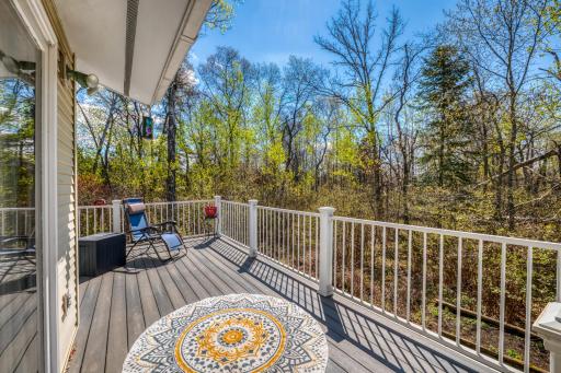 8246 Red Pine Lane NE, Bemidji, MN 56601