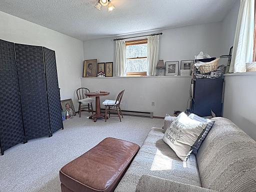 8246 Red Pine Lane NE, Bemidji, MN 56601