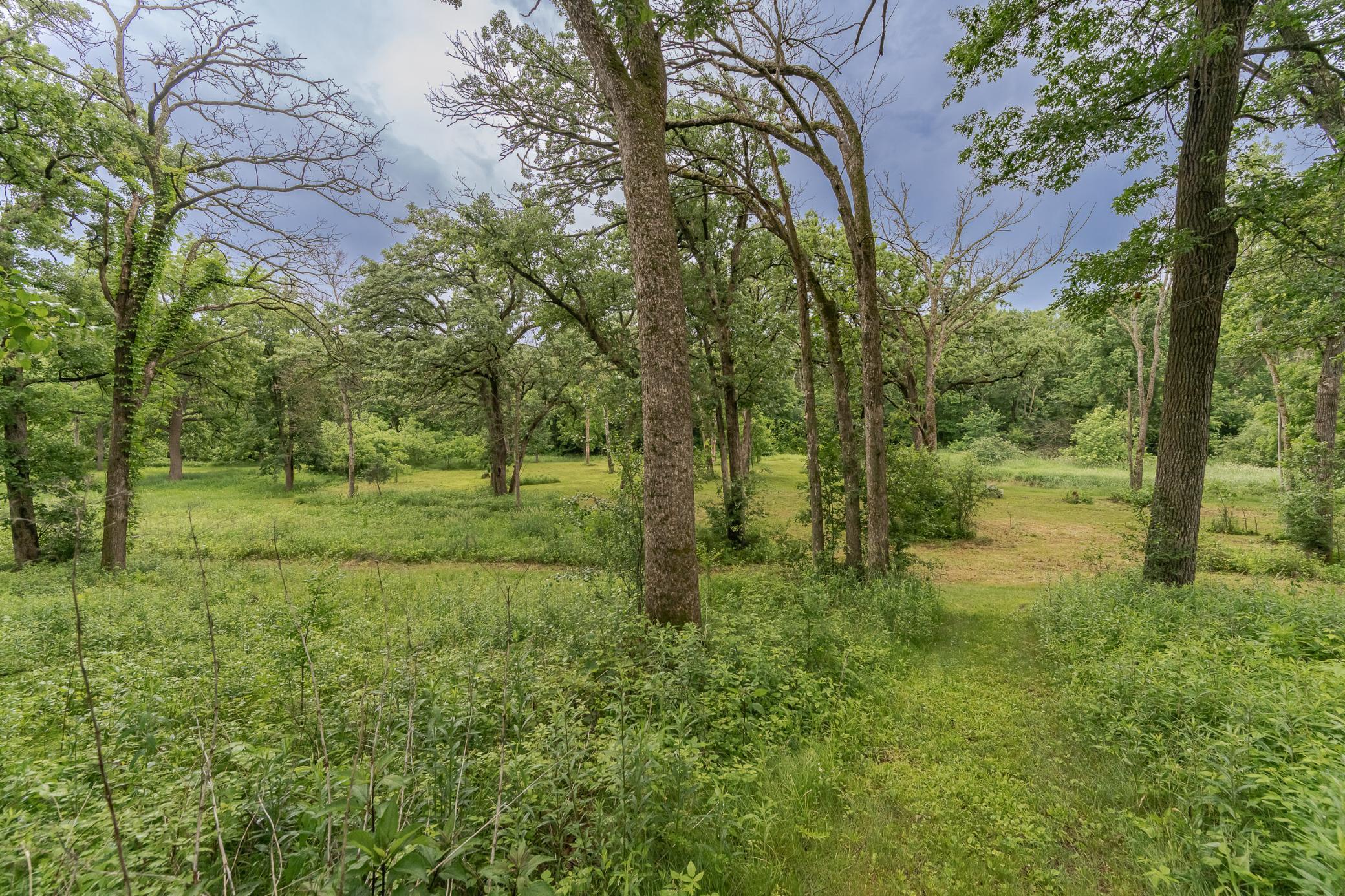 DSC_3103.jpg
