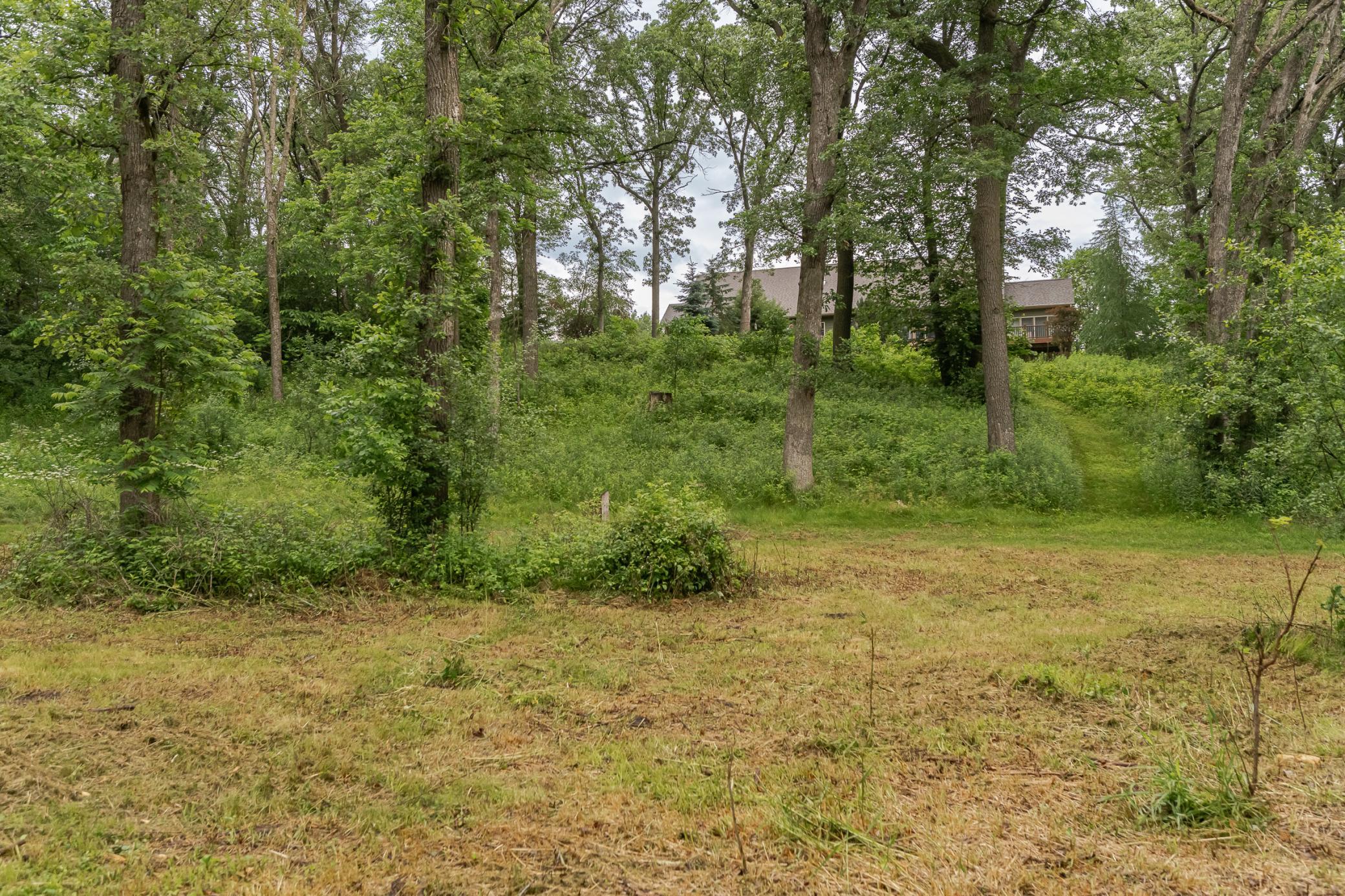 DSC_3106.jpg