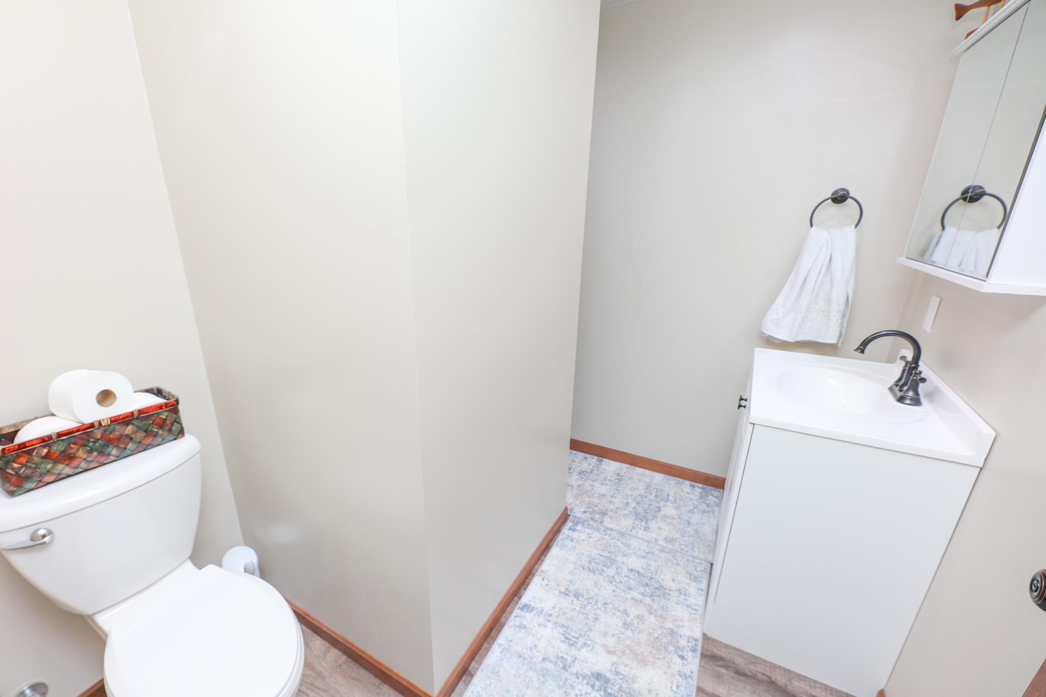 Lower Level Bathroom