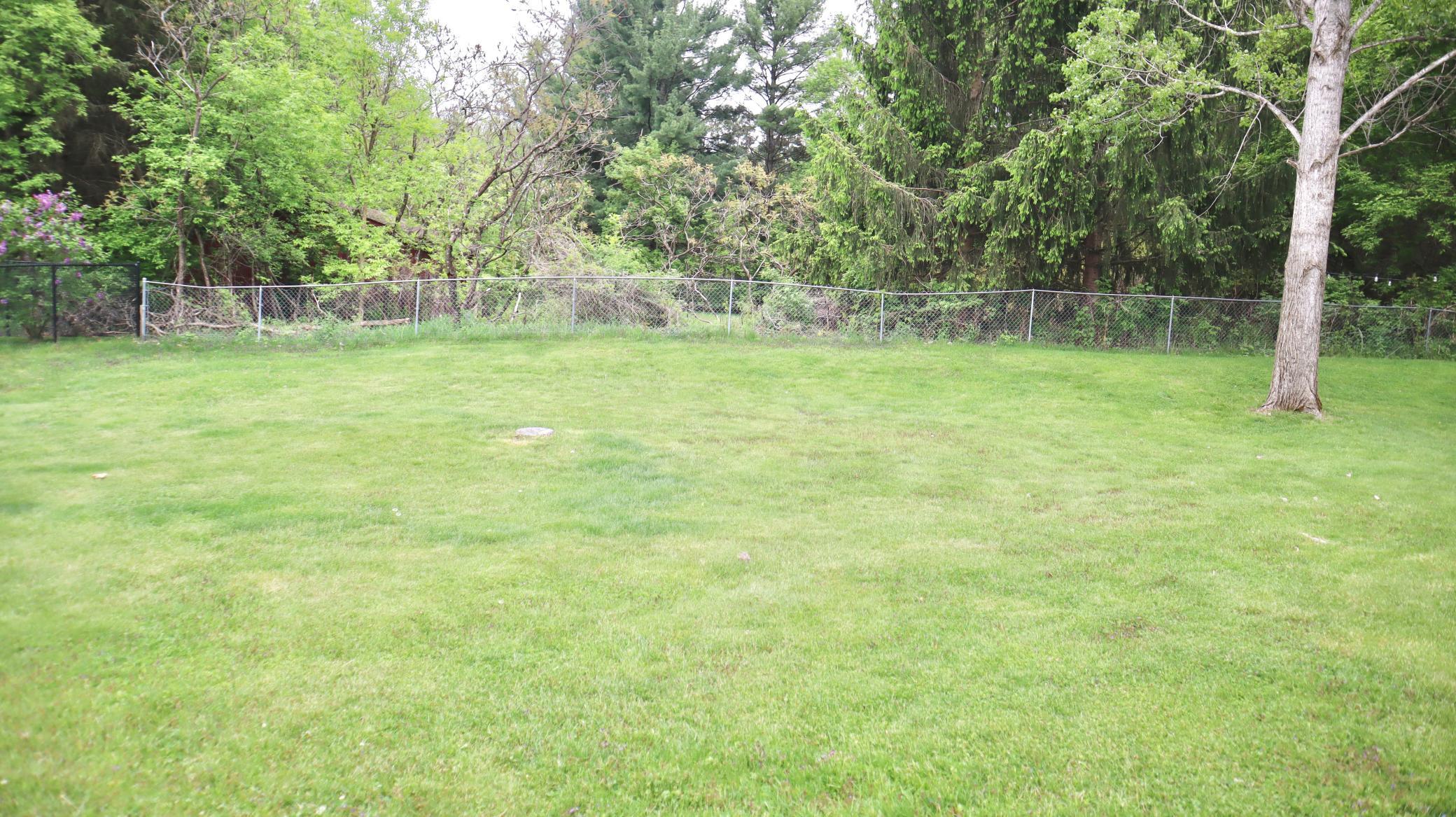 Back yard