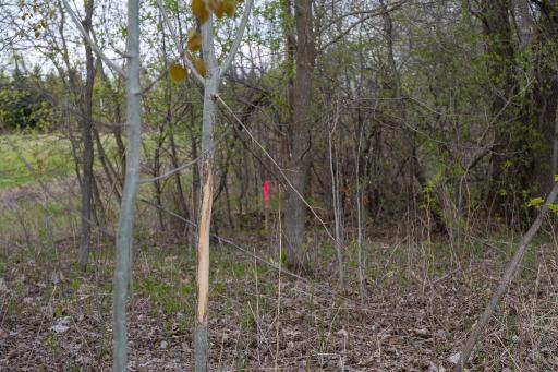 Parcel A - 20AC 465th Street, Harris, MN 55032
