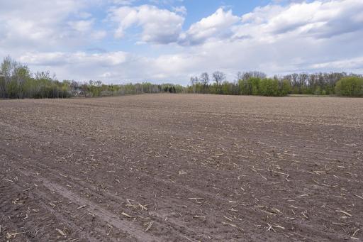 Parcel A - 20AC 465th Street, Harris, MN 55032