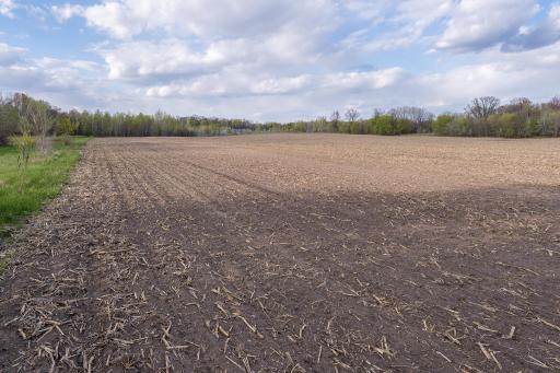 Parcel A - 20AC 465th Street, Harris, MN 55032