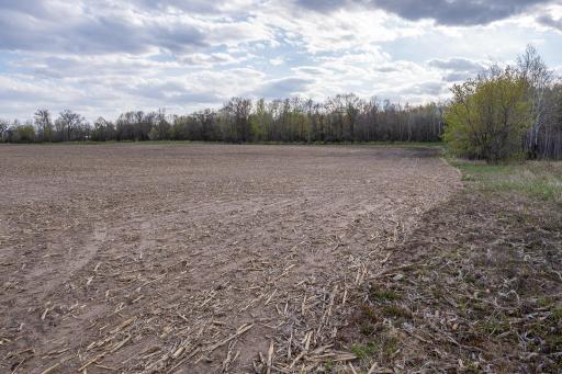 Parcel A - 20AC 465th Street, Harris, MN 55032
