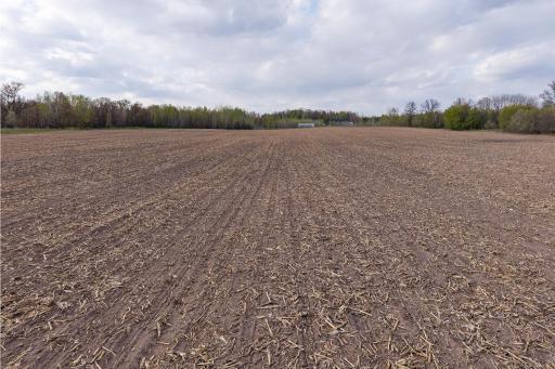 Parcel A - 20AC 465th Street, Harris, MN 55032