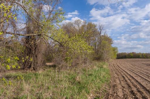 Parcel A - 20AC 465th Street, Harris, MN 55032