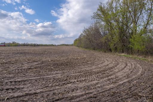 TBD-38AC 465th Street, Harris, MN 55032
