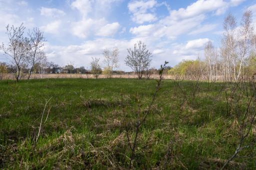 TBD-38AC 465th Street, Harris, MN 55032