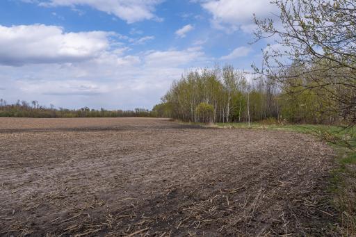 TBD-38AC 465th Street, Harris, MN 55032